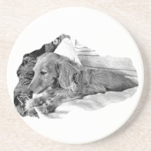 Dutch Hound Resting –  Graphic Coaster