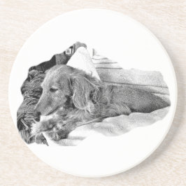 Dutch Hound Resting – Graphic Coaster Underlägg