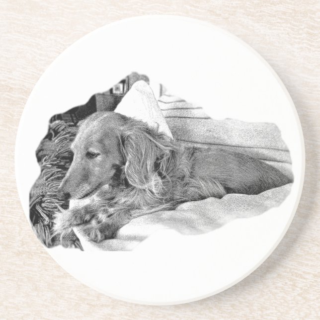 Dutch Hound Resting –  Graphic Coaster Underlägg (Framsidan)