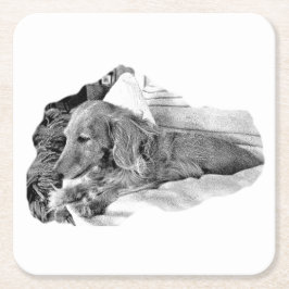 Dutch Hound Resting – Graphic Coaster Underlägg Papper Kvadrat