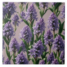 Dutch Hyacint lila blommor