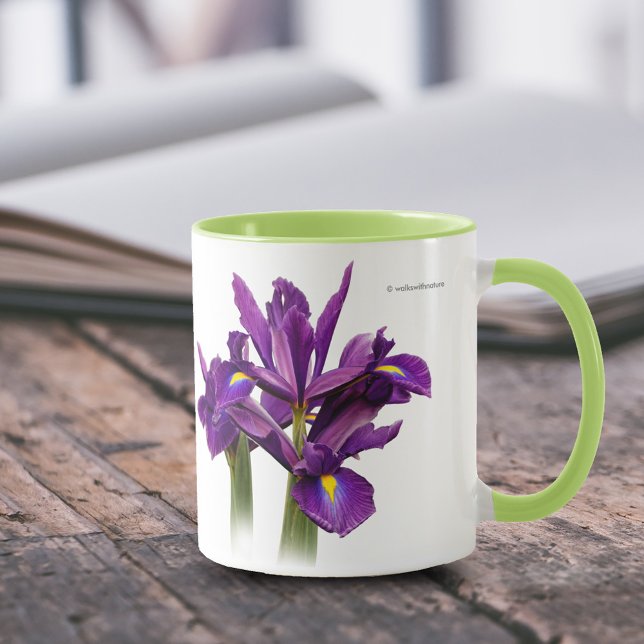 Dutch Iris Lila Sensation Mugg (Dutch Iris Purple Sensation 11 oz Coffee Mug Cover Photo.)