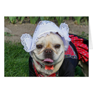 Dutch Pooch Hälsningskort