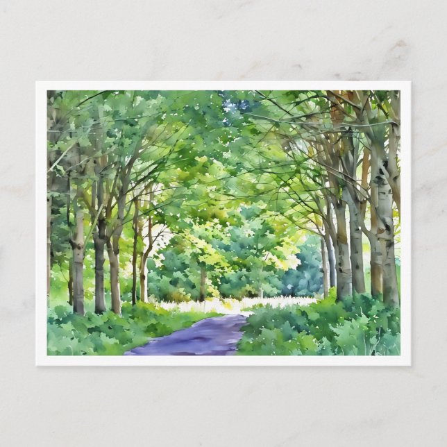 Dutch Salland Region Westerveldse Bos Forest Vykort (Framsida)