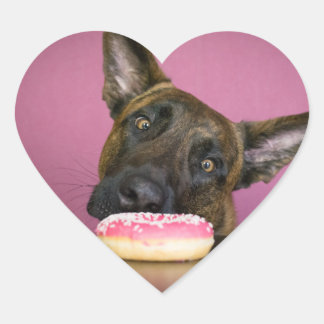 Dutch shepherd versus donut hjärtformat klistermärke