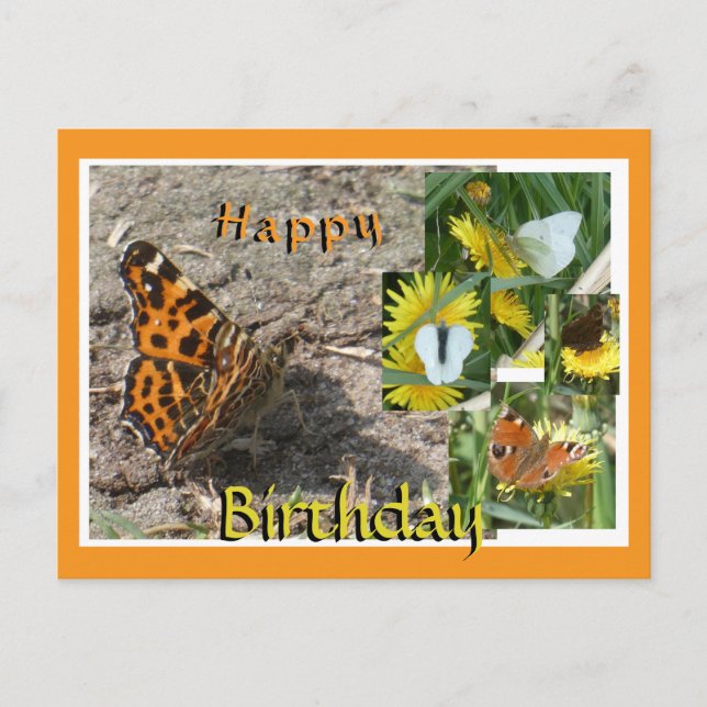 Dutch Summer Butterflies Collage Birthday Postcard Helg Vykort (Framsida)