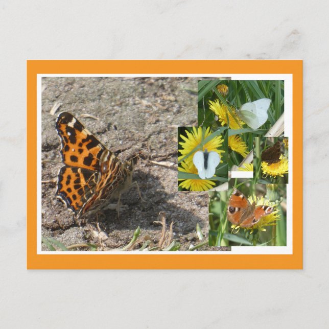 Dutch Summer Butterflies Collage DIY Postcard Helg Vykort (Framsida)