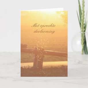 Dutch Sympathy Sunlight Mosquito Kort