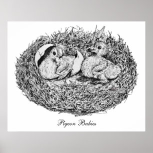 Duva Bo Babys Poster