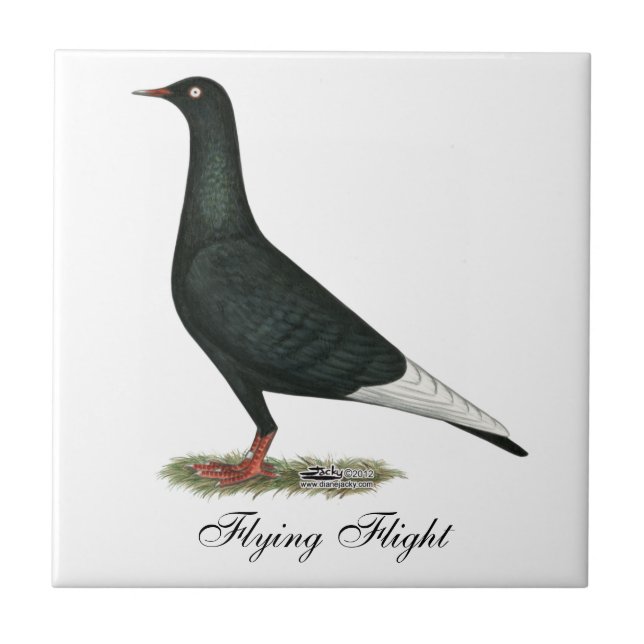 Duva för flygflygsvart kakelplatta (Framsidan)