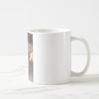 duva kaffemugg