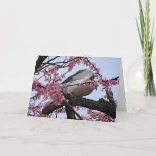 Duva & Redbud blommar Kort