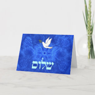 Duva - Shalom Kort