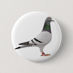 duvadesign knapp