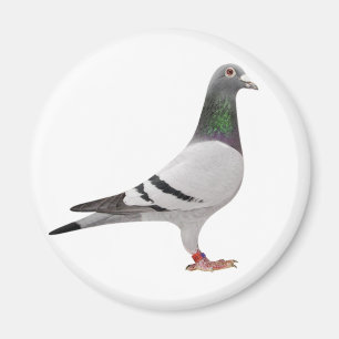 duvadesign magnet