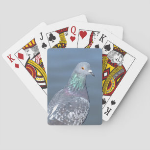Duvapartner Spel Kort
