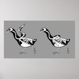 DuvaSkeletals tryck