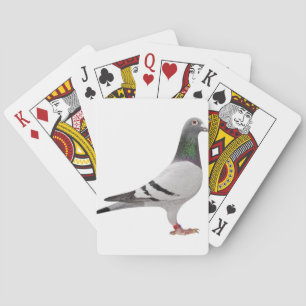 duvdesign casinokort