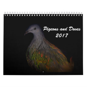 Duvor & duvor 2017 kalender