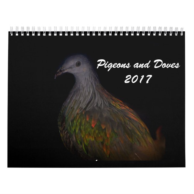Duvor & duvor 2017 kalender (Omslag)