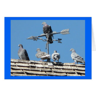 duvor hälsningskort