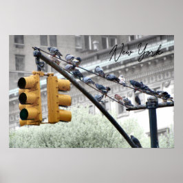 Duvor i New York Poster