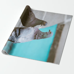 Duvor Presentpapper