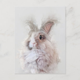 Dvärg Angora Kanin Vildliv Porträtt Vykort