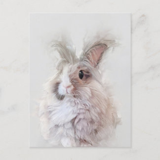 Dvärg Angora Kanin Vildliv Porträtt Vykort