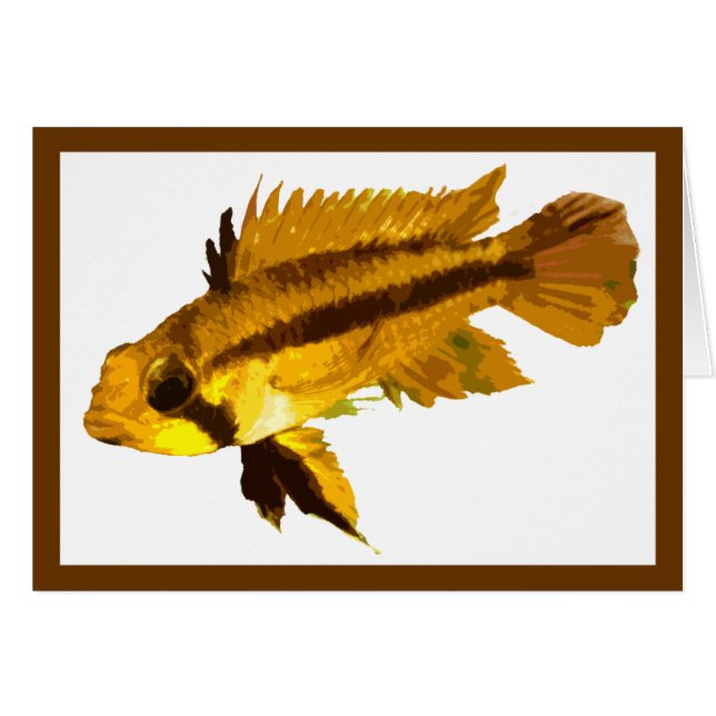 Dvärg Cichlid Hälsningskort (Framsidan Horizontal)