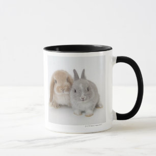 Dvärg för två Netherland och Holland Lop kanine Mugg