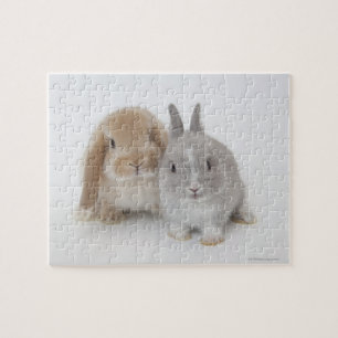 Dvärg för två Netherland och Holland Lop kanine Pussel