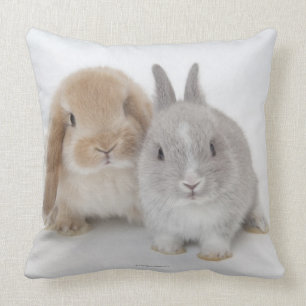 Dvärg- och Holland Lop för två Netherland kanin Kudde