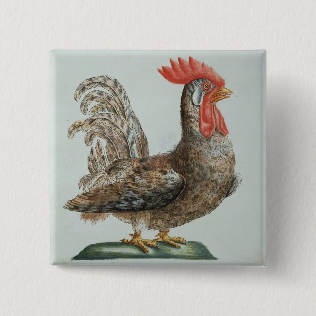 Dvärg- ungtupp, c.1767-76 (räcka färgad gravyr knapp (Framsida)