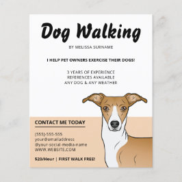 Dvärghund Rödvit Italiensk Mops - Hundpromenerare Flygblad