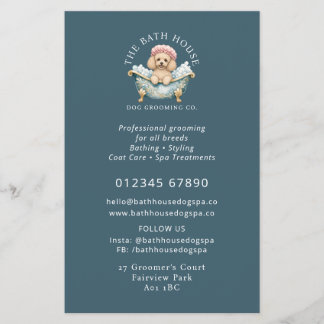 Dvärgpudel Hundvård Flyer - Turkos