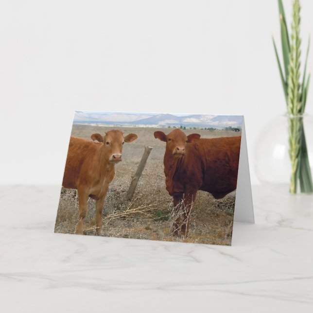 DVM för Ranch Farm DVM. för Cute Vet Studenten Gra Kort (Framsida)