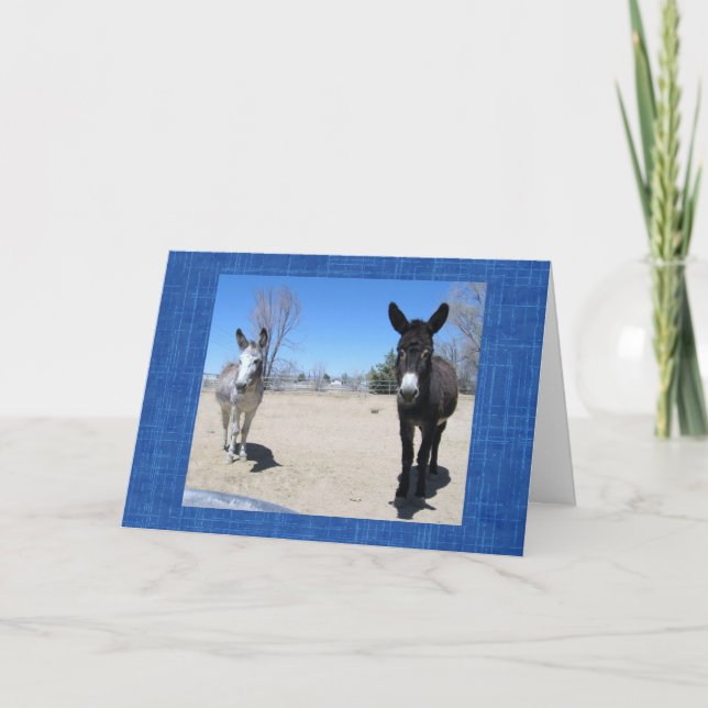 DVM. för Western Ranch-odling i Cute Vet School St Kort (Framsida)