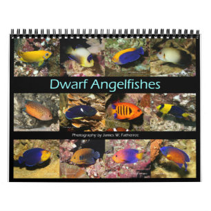Dwarf Angelfishes Wall Calendar av J.W. Faderträd Kalender