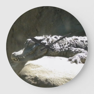 Dwarf Chinese Alligator Wall Clock Stor Klocka