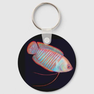 Dwarf Gourami Tropical Fish Keychain Nyckelring