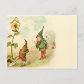 Dwarf och Dandelion Vykort