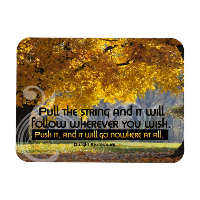 Dwight D. Eisenhower Inspirational Quote "Push it" Magnet (Horisontell)