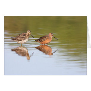Dwitchers par hälsningskort