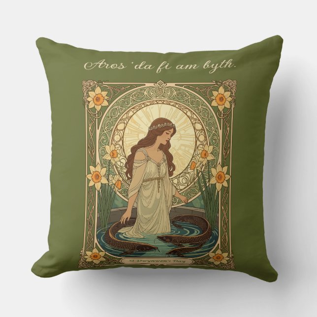 Dwynwen's Well And Sacred Fish Kudde (Framsida)