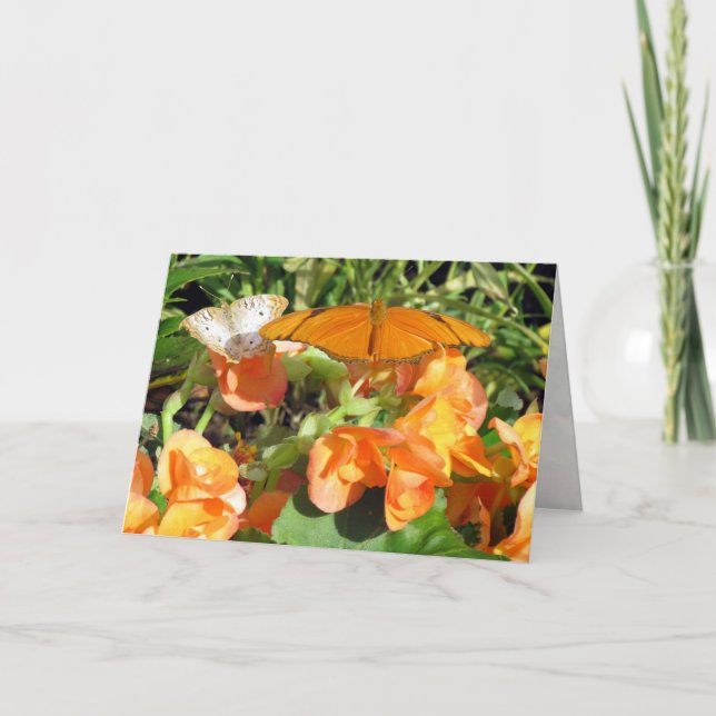 Dyas Julia och White Peacock Butterflies Hälsning Kort (Framsida)