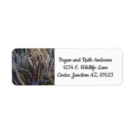 Dyckia delight returadress etikett
