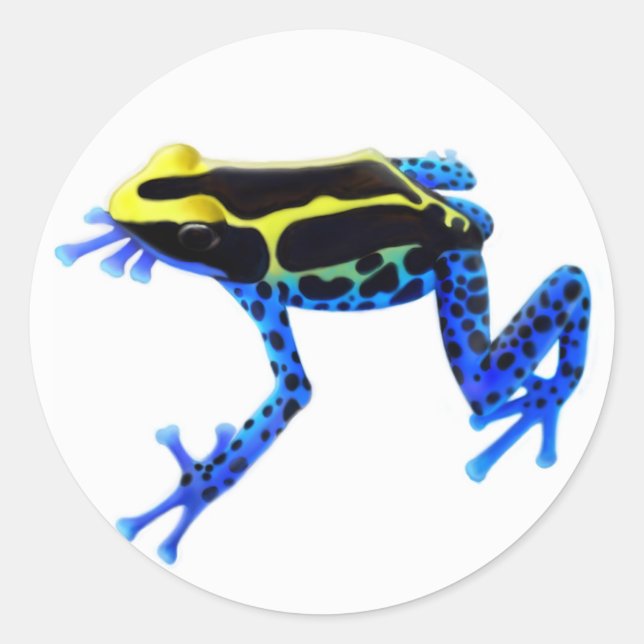Dyeing Poison Frog Runt Klistermärke (Framsida)