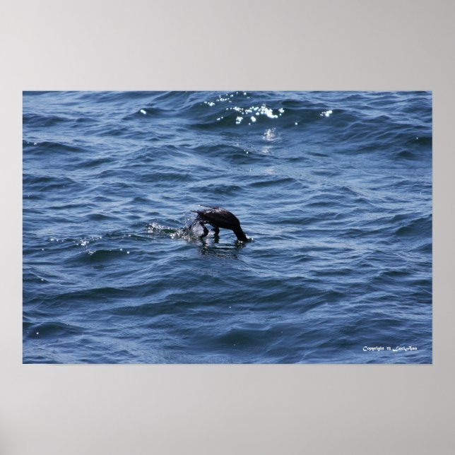 Dyk under poster (Framsidan)