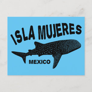 Dyka av valhaj   Isla Mujeres Vykort